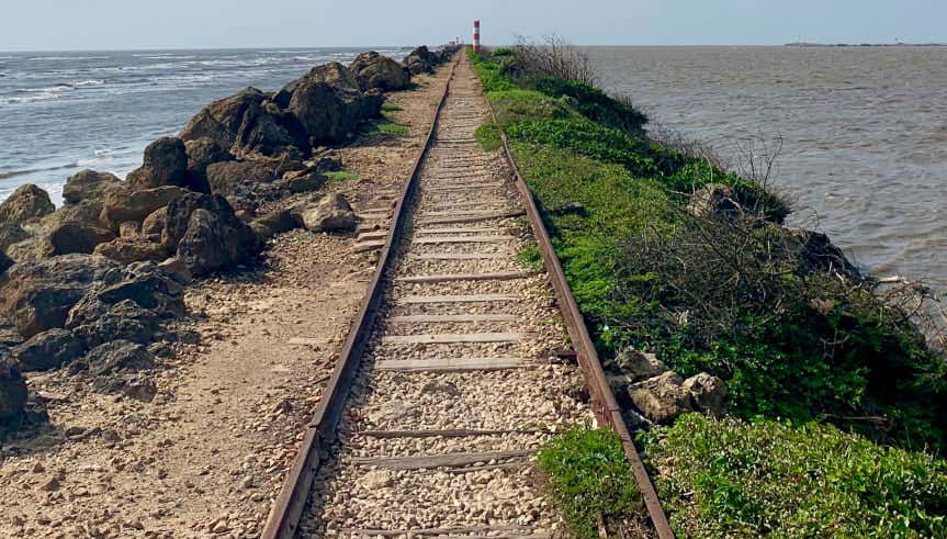 Bocas de Ceniza Day Trip