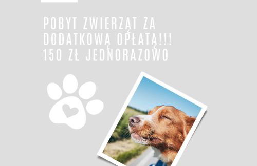 Grudza83 Bikepoint - Foto 78