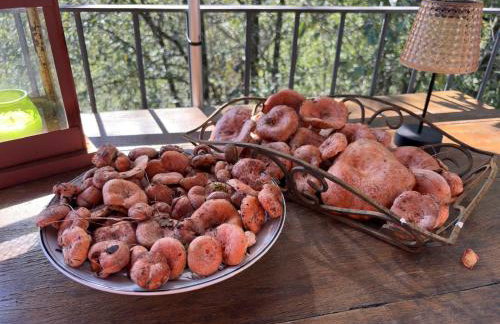 Els Pins d'Abella - Foto 2