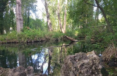 Casa Rural Nacimiento del Hueznar - Tomillo 17 - Foto 21