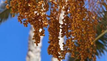 Flamingo Apart - Foto 2