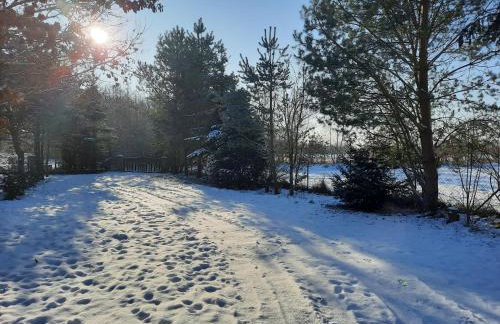 Dworska Zagroda - Foto 54