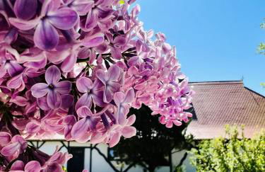 Ferienwohnung "Zur Rebe" - Foto 1