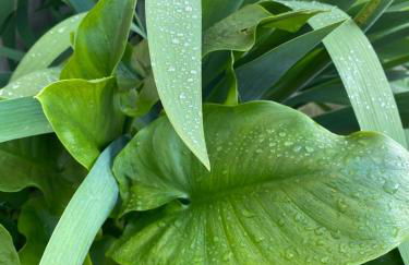 maison ancienne rénovée tout confort - Foto 10