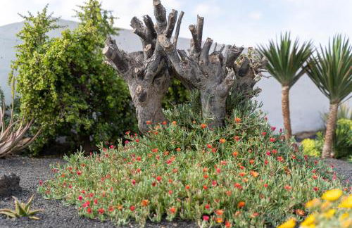 Casa Salinas del Mar - Foto 51