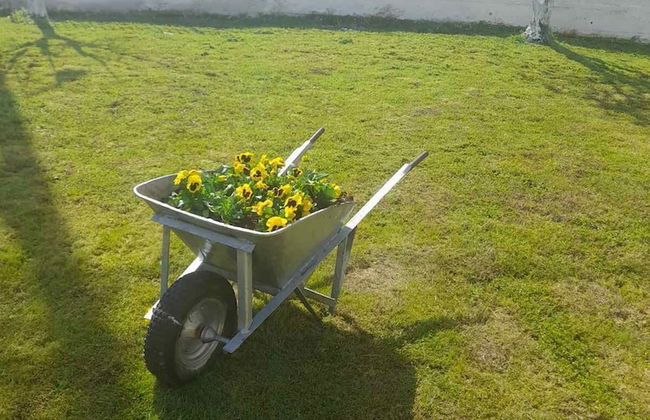 Garden Paradise in Megalochori Trikala - Foto 28