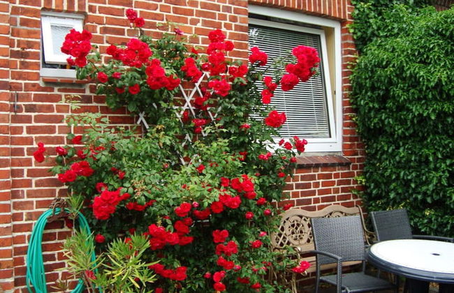 Nordic Huis Modern Retreat - Foto 12