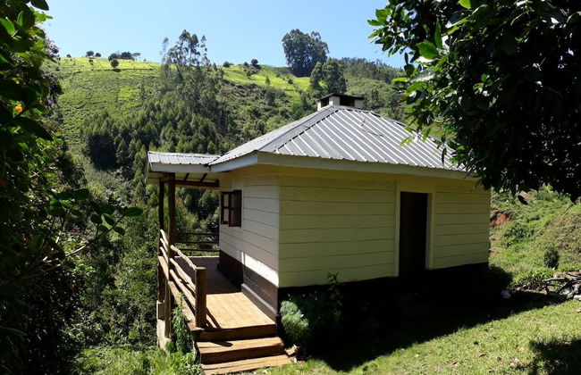 Kimakia Tea Cottages - Foto 13