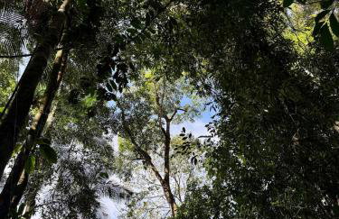 Morada do pôr do sol - Foto 32