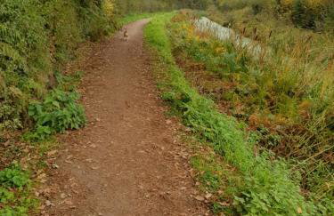 Chatterley House - Foto 131