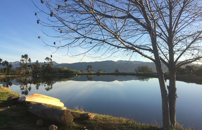 Fraaigelegen Farm - Photo 26