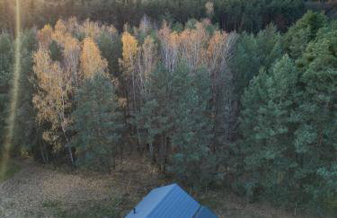 Domek dla Ptaków - Foto 7