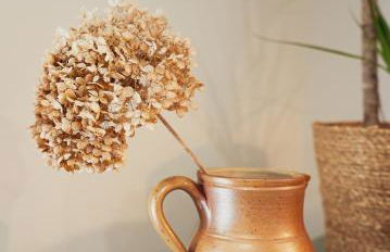 Maisons Vaudésir Chablis - Foto 22