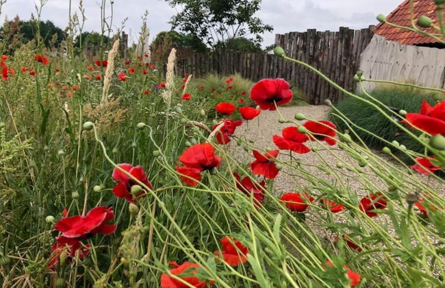 Villa in Sandberghe With Sauna and Comfort - Foto 42