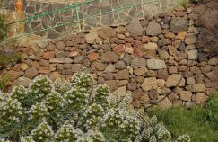 El Rinconcito de Tejeda - Foto 3