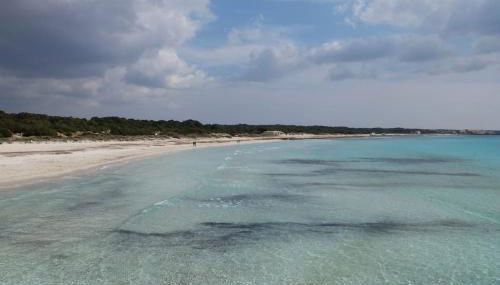 Bonito Chalet en Sa Ràpita - Foto 4