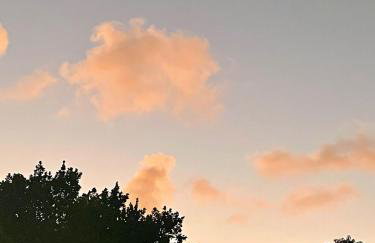 Olinda Magic Studio - Foto 8