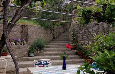 Mario (RADE) - Foto 4