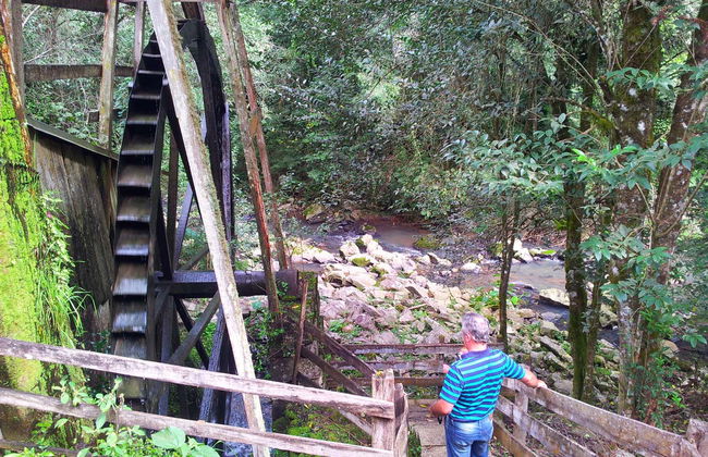 Escursione ad Antônio Prado - Foto 4