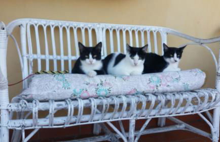 il Chiassetto Agriturismo No Kids - Foto 56