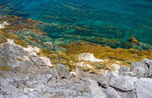 CEFALUX - Torre Bastione sul Mare - Foto 6