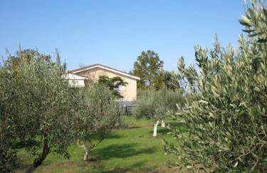 ΠΑΛΗΟΚΤΗΜΑ - Palioktima - Photo 28