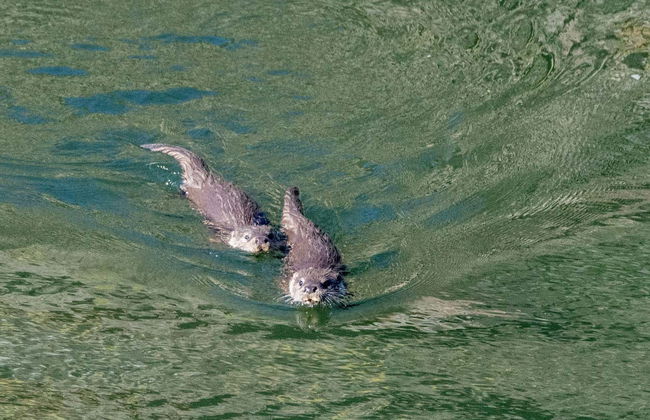 Balade en bateau sur le Tage - Photo 7