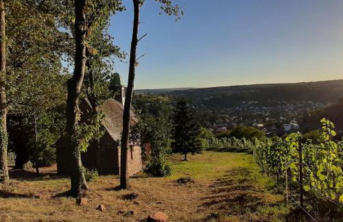 Apartment Vineyard-Suites FeWo by Interhome - Foto 25