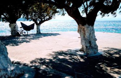 Figs & Grapes * Cosy small house * Marmari * South Evia - Foto 31