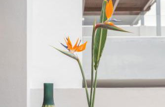 Luxury Apartment Rosita - Photo 52