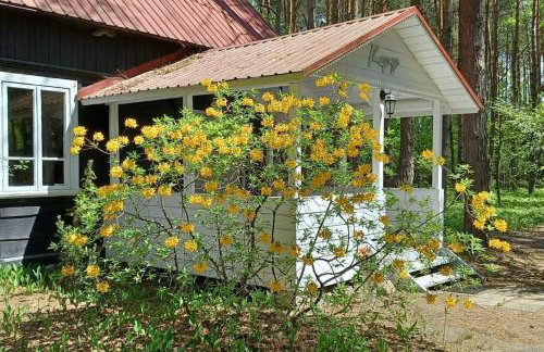 Wilga - urokliwy dom z bala (50 km od Warszawy) - Foto 16