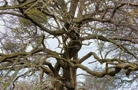 Ferienwohnung Blaue Sonne Devin - Foto 25