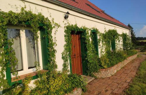 Srokowski Dwór 1 - Mazurski Dwór - 450m2 - Foto 3