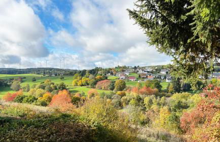 Design Chalet Vulkaneifel - Foto 37