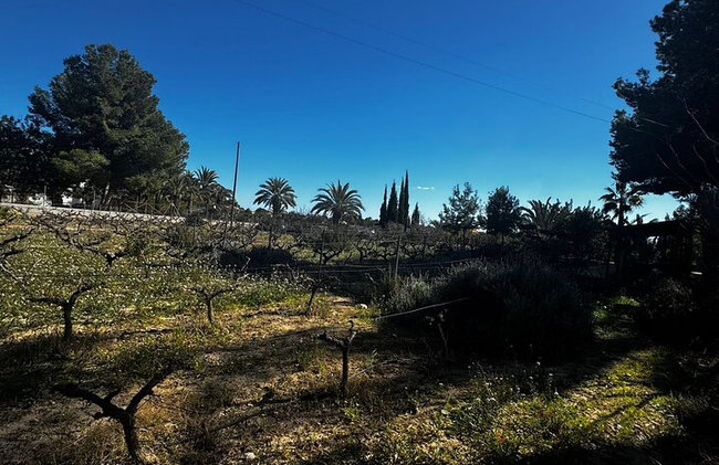 Alicante; Recorrido Vinícola Bodega Cata Vinos, Comida y Traslado - Foto 9