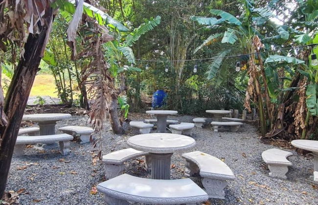 Glampling Nubes de Monteverde - Foto 41