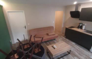 3 Apt T2 COSY de 40 à 50 M2 Idéal pour un déplacement PRO " Les IRIS " - Foto 23