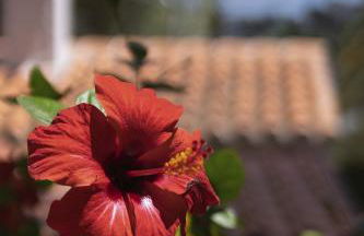 Villa Zephyra - Foto 60