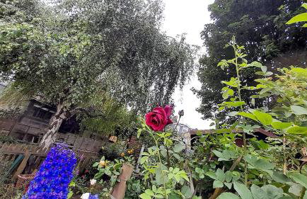 Lovely artist's home ecently refurbished - Photo 13