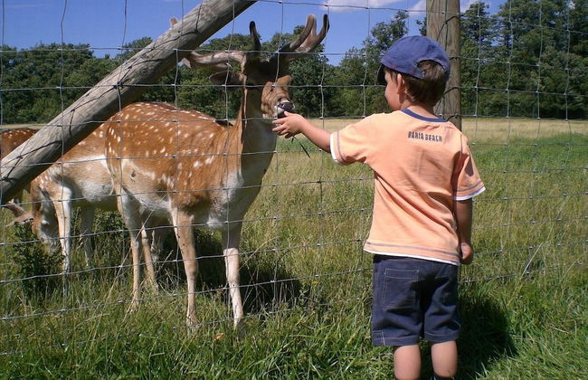 Le Domaine de l'Étang - Photo 18
