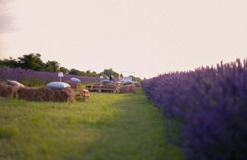 B&B Il Molinello - Foto 59