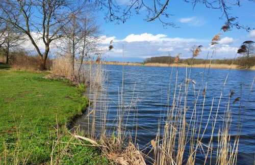 Ferienhaus Undine mit E-Auto-Ladestation - Foto 34