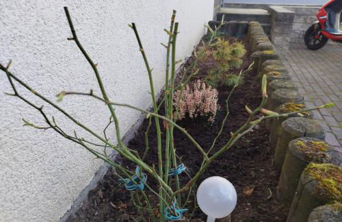 Apartment-Design 1, Altendtadt - Foto 19