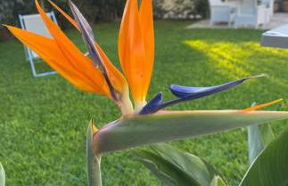 Casa vacanza Augusto - Photo 57