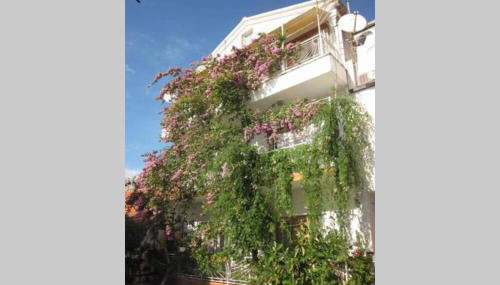 Apartman Graciela Perfect location Gradac - Foto 3