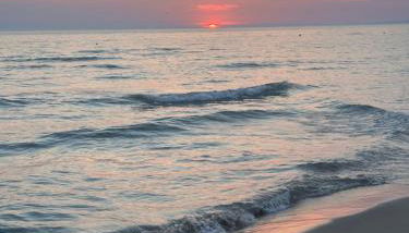 CasaBianca,Passoscuro,Palidoro,BambinGesú - Foto 4