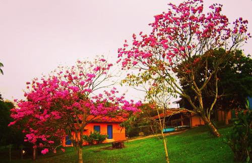 Studios Verdes hospedagens - Photo 69