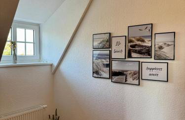 Robbe beim Ochsenturm am Deich - Foto 8