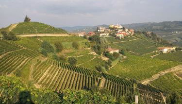 Beautiful private house among the Moscato vineyards - Foto 4