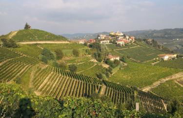 Beautiful private house among the Moscato vineyards - Foto 4